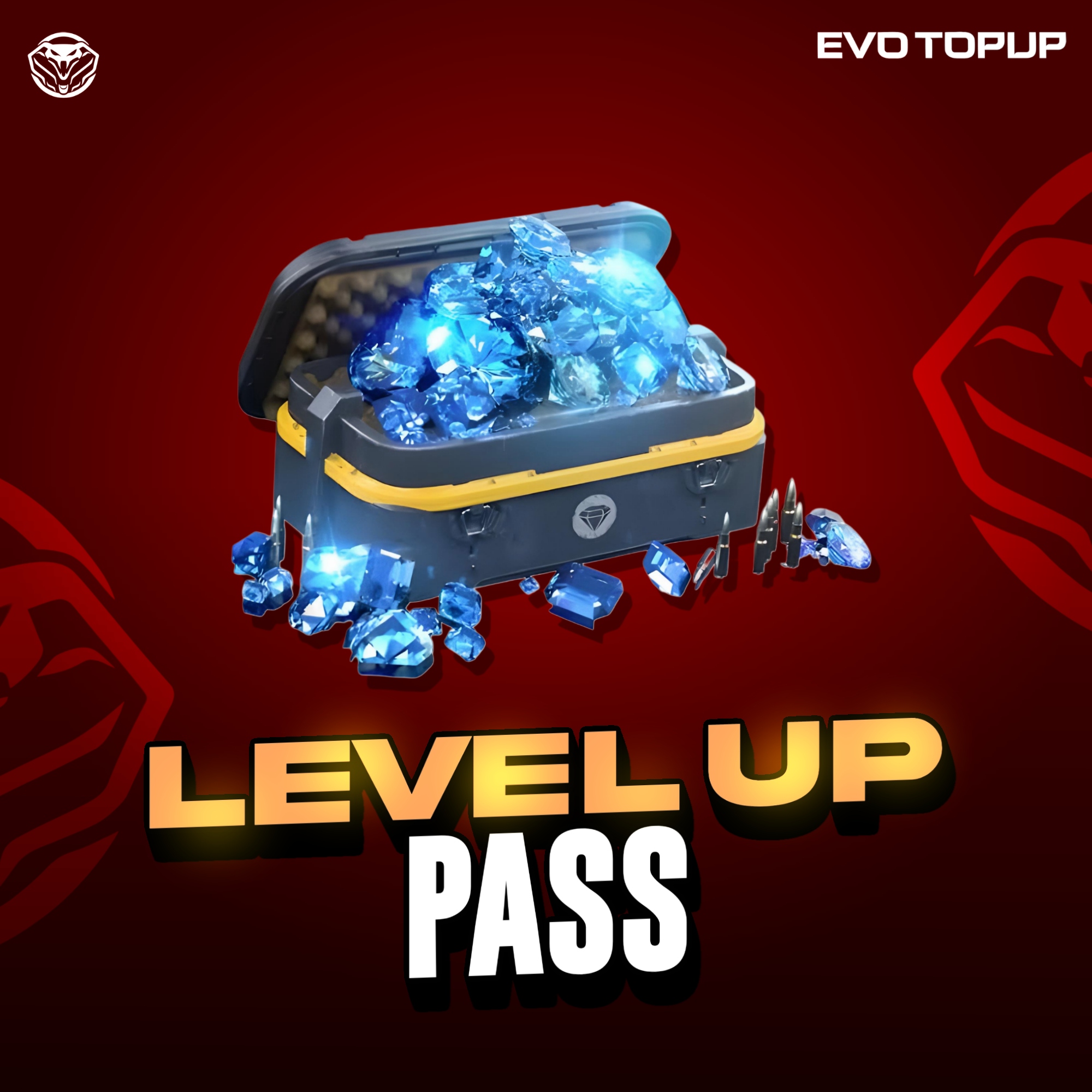 LEVEL UP PASS 
